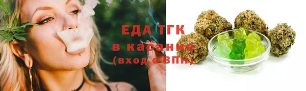 шишки Белокуриха
