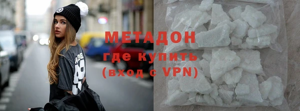 шишки Белокуриха