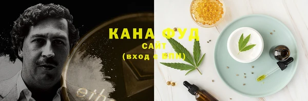 шишки Белокуриха