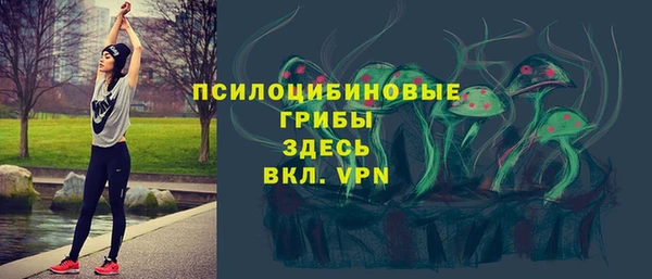 твердый Богородицк