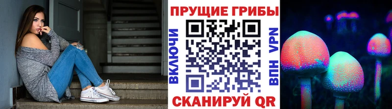 Купить где  Асино  Галлюциногенные грибы ЛСД 