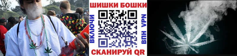 Бошки Шишки планчик Купить где Асино